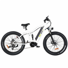 Hot 350W Middle Motor Electric Mountain Bicycle with Fat Tire